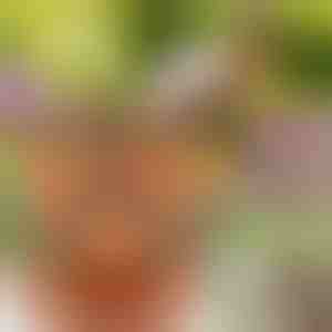 Verticaal stapelbare plantenpotten (Set van 3) | PLANTUP