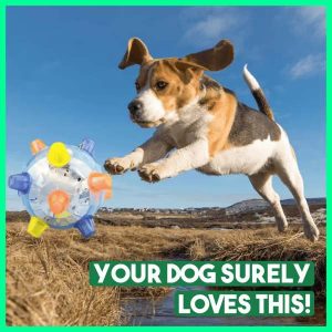Interactieve Stuiterbal voor Honden - Automatisch Stuiteren, Licht & Geluid | ACTIBALL