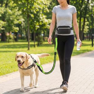 Stop met trekken, houd de controle - handsfree hondenriem / DOGZIP