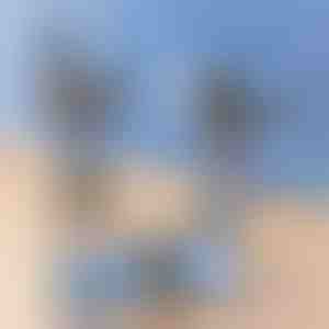 Opvouwbare draaibare telefoonhouder | SLIDECLIP